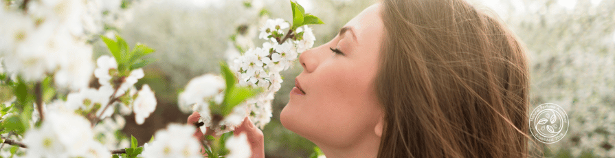 Ethical Natural Perfumery – Through the Seasons