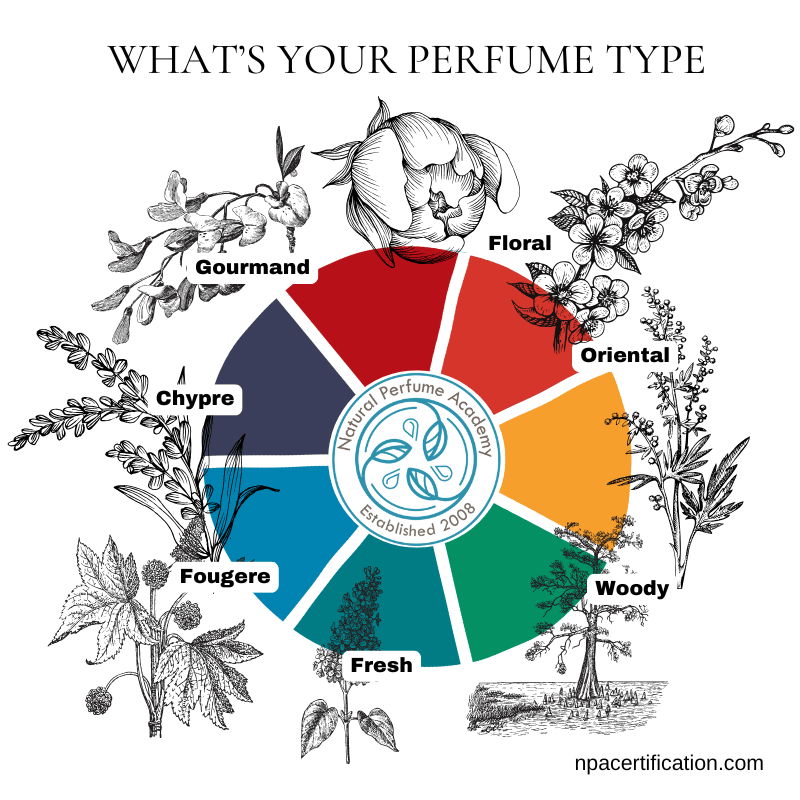 Perfume Type Wheel: A visually segmented wheel showing seven traditional fragrance types—Gourmand, Oriental, Woody, Fresh, Fougere, Chypre, and Floral. Each segment is represented with earthy tones and botanical illustrations, showcasing a unique scent family in natural perfumery. The Natural Perfume Academy logo is centered within the wheel, symbolizing the personalized approach to fragrance creation.