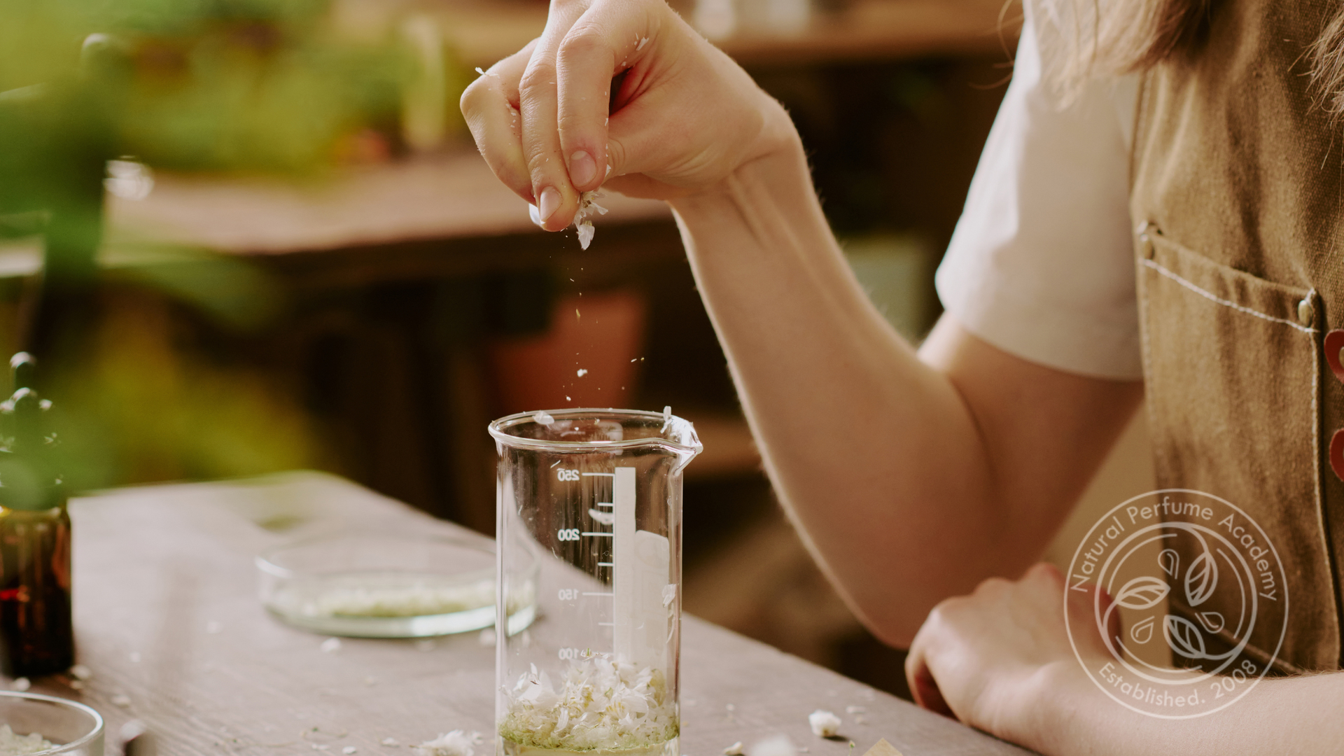 Natural perfumer adding fragrant petals to a jar to make natural perfume