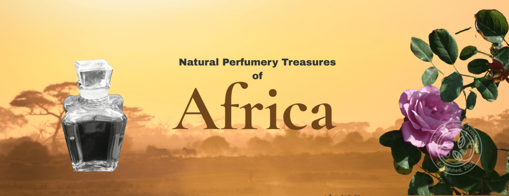 Perfumery Treasures from Africa Perfumery Treasures from Africa