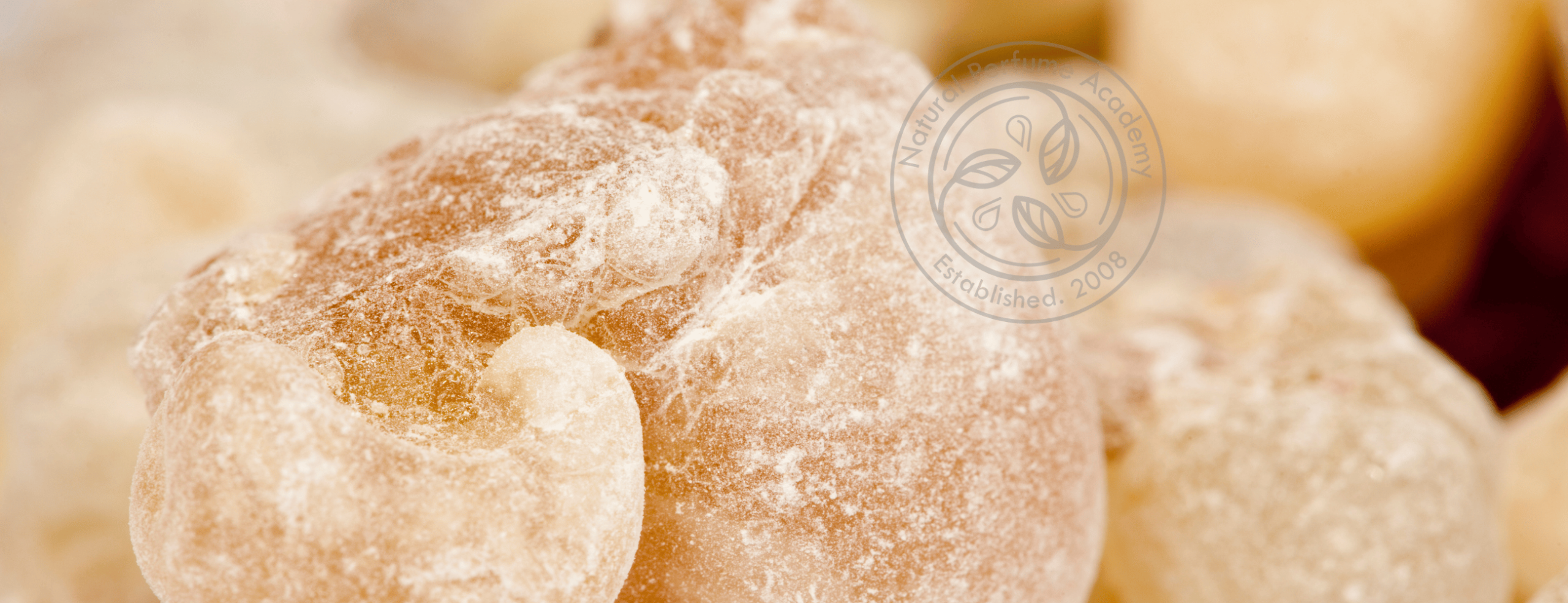 detailed close up shot of tears of franlinkcense