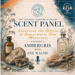 Natural Perfume Academy Scent Panel podcast cover for Episode 2 on ambergris with Ane Walsh, featuring vintage-style illustrations of ambergris, perfume bottles, driftwood and coastal botanicals.