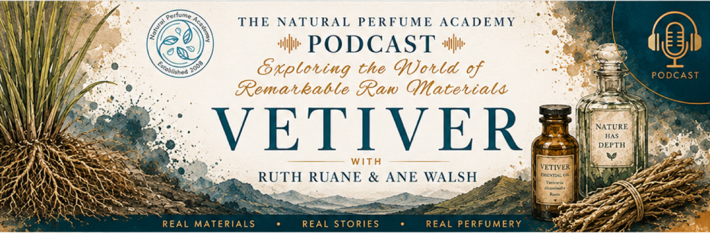 Vetiver in Perfumery | Scent Panel Ep. 3 with Ane Walsh Vetiver in Perfumery | Scent Panel Ep. 3 with Ane Walsh