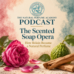 Podcast artwork for The Natural Perfume Academy Podcast episode “The Scented Soap Opera: How Róisín Became a Natural Perfume,” featuring a pink rose, bergamot fruit and sandalwood.